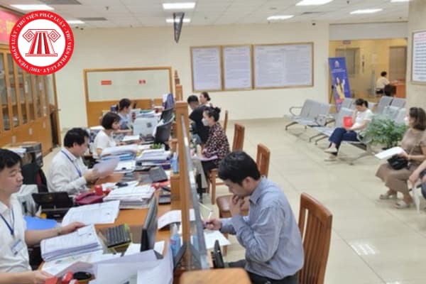 Pháp luật