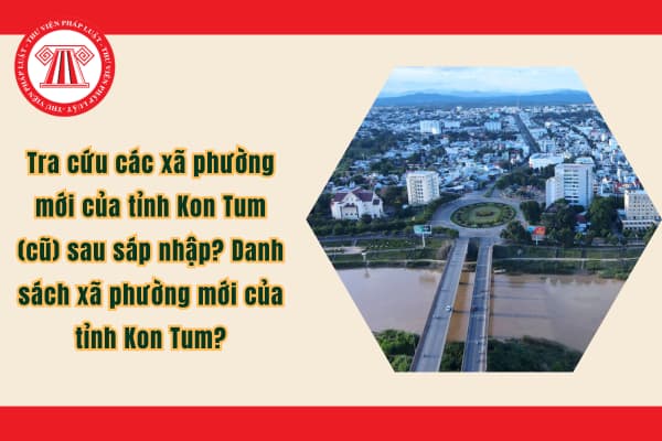 Pháp luật