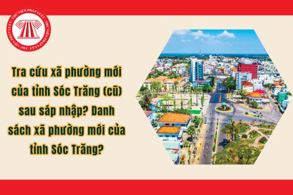 Pháp luật