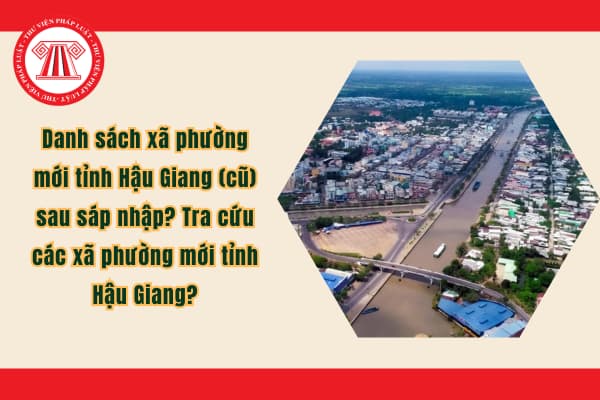 Pháp luật