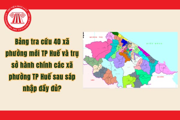 Pháp luật
