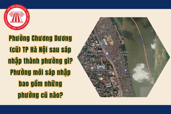 Pháp luật