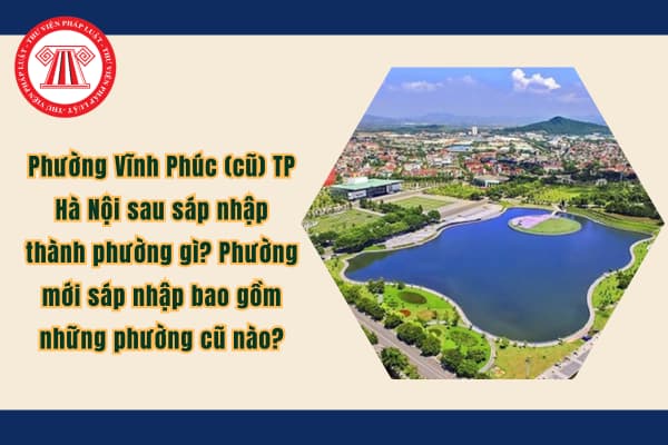 Pháp luật