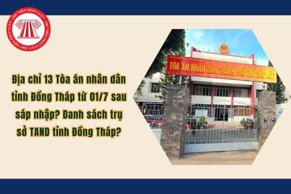 Pháp luật