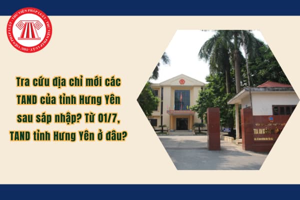 Pháp luật