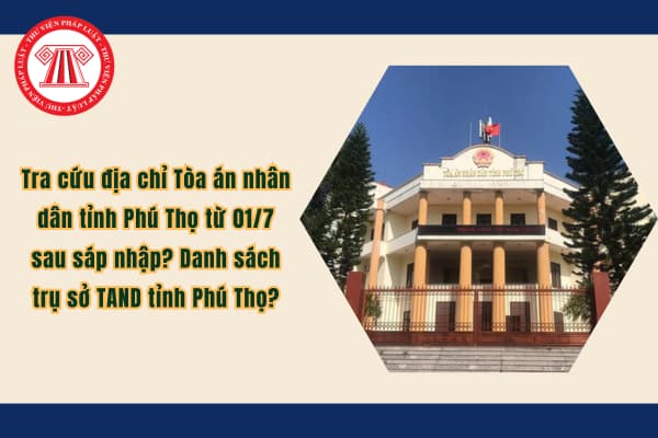 Pháp luật