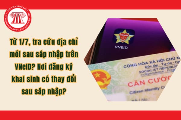 Pháp luật