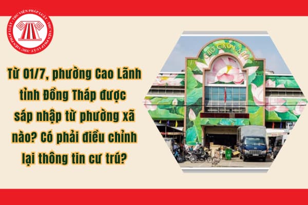 Pháp luật