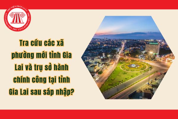 Pháp luật