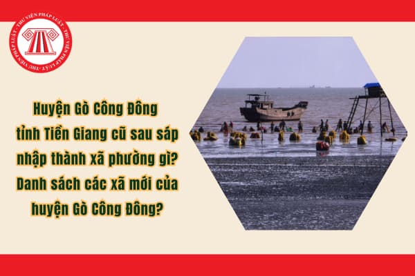 Pháp luật