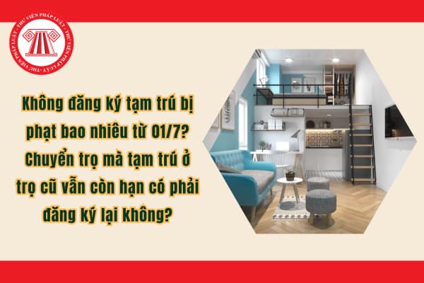 Pháp luật