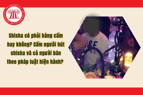Pháp luật