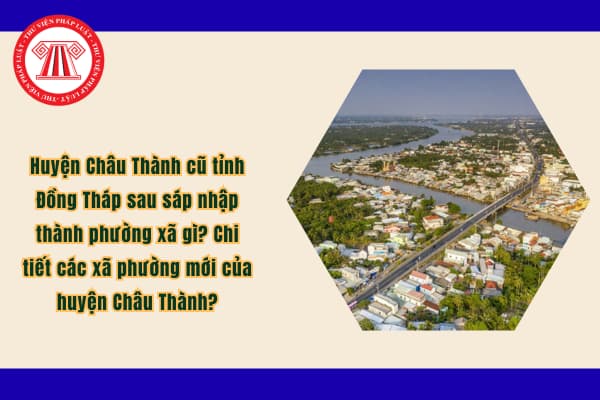 Pháp luật