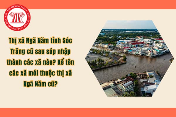 Pháp luật