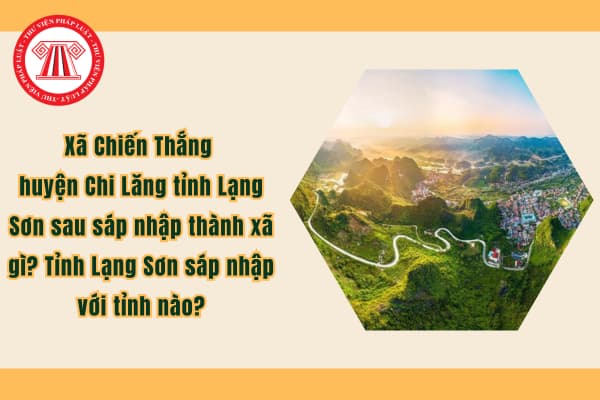 Pháp luật