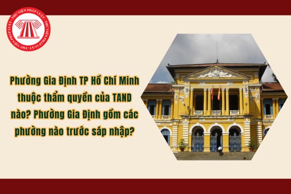 Pháp luật