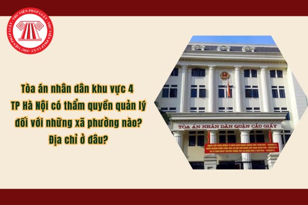Pháp luật
