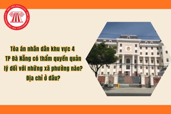 Pháp luật