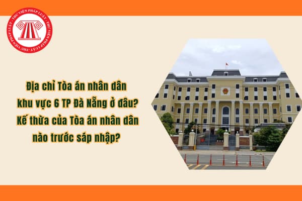 Pháp luật
