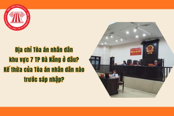 Pháp luật