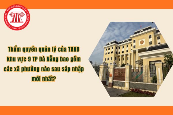 Pháp luật