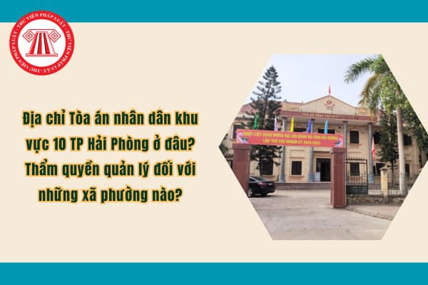 Pháp luật