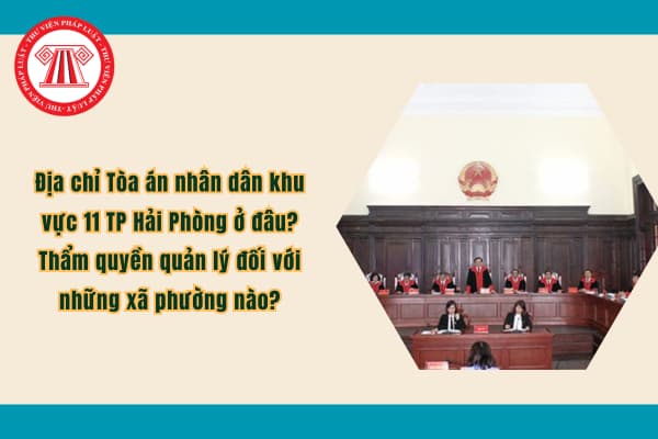 Pháp luật