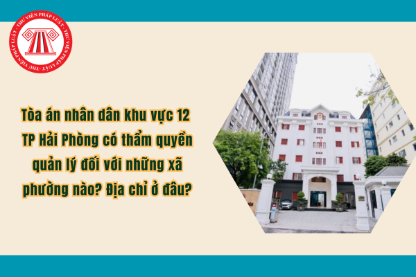 Pháp luật