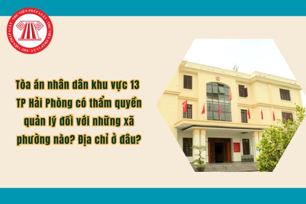 Pháp luật