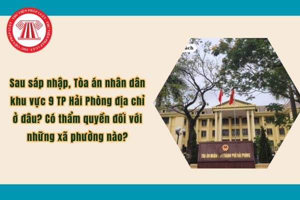 Pháp luật