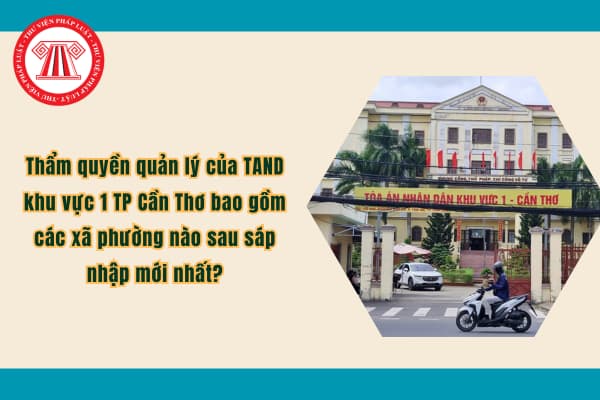 Pháp luật