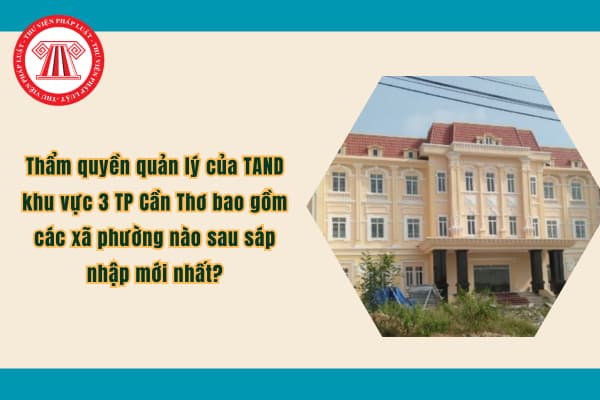 Pháp luật