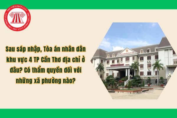 Pháp luật