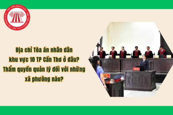 Pháp luật
