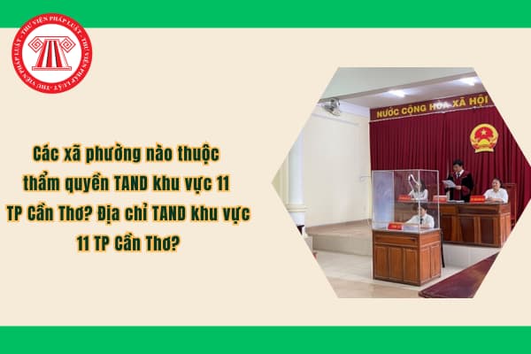 Pháp luật