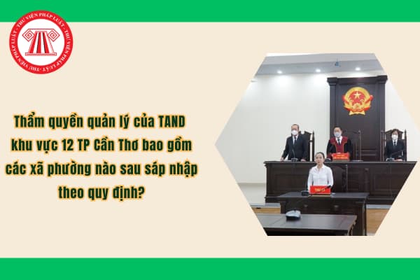 Pháp luật