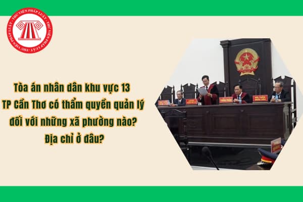 Pháp luật