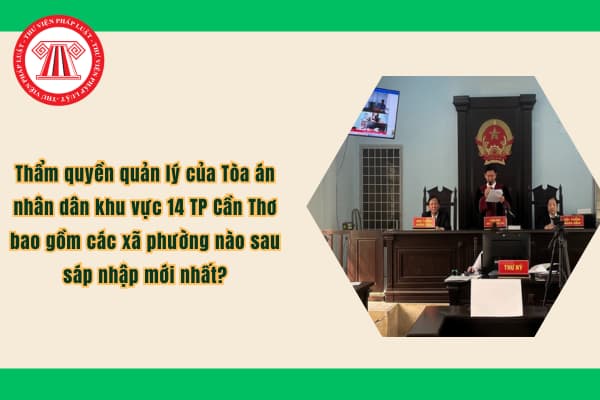 Pháp luật