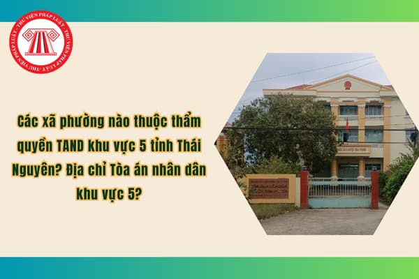 Pháp luật