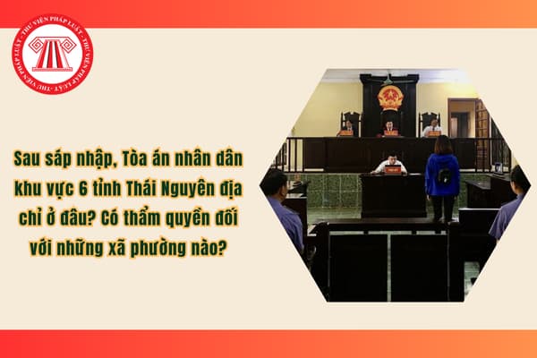 Pháp luật
