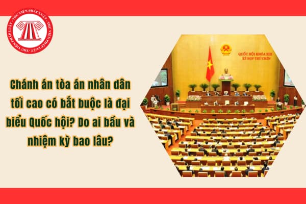 Pháp luật