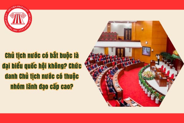 Pháp luật