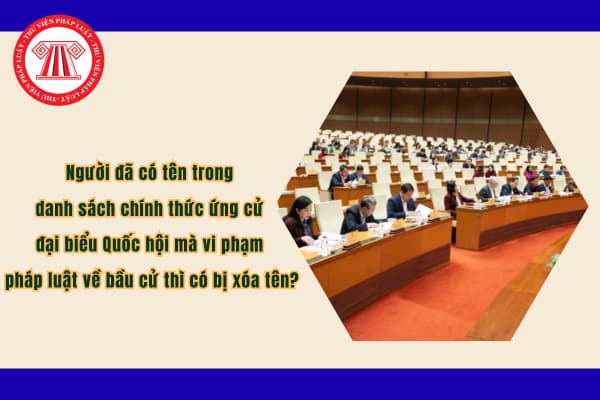 Pháp luật