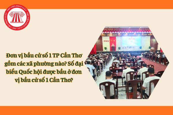 Pháp luật