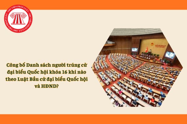 Pháp luật