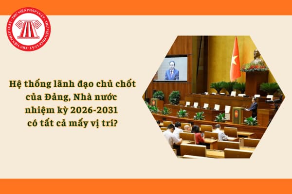 Pháp luật