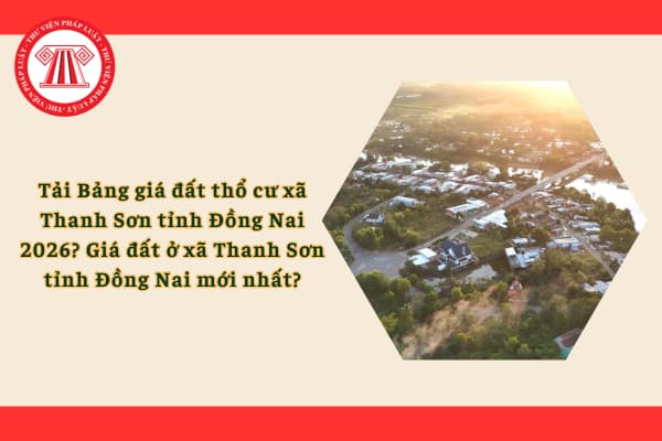 Pháp luật