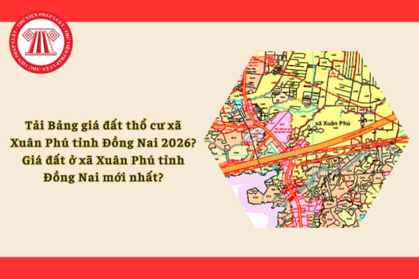 Pháp luật