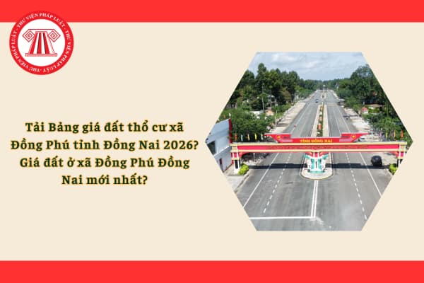Pháp luật