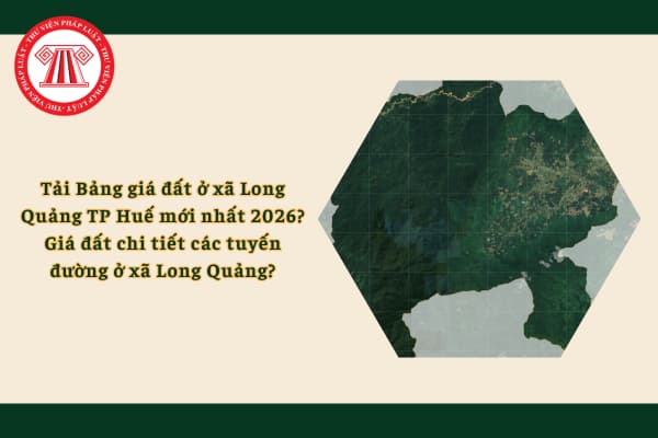 Pháp luật
